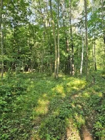530 335th Ave, Frederic, WI 54837 photo 36