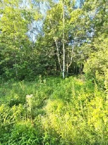 530 335th Ave, Frederic, WI 54837 photo 21