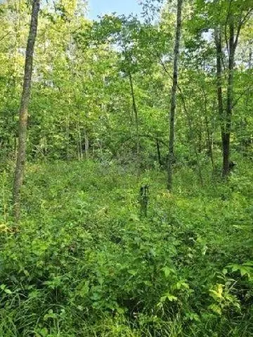 530 335th Ave, Frederic, WI 54837 photo 35
