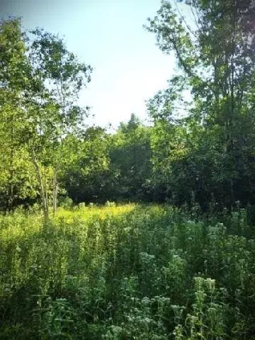 530 335th Ave, Frederic, WI 54837 photo 5
