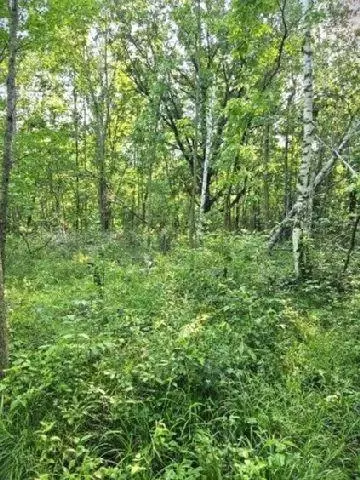 530 335th Ave, Frederic, WI 54837 photo 37