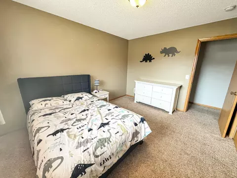 703 Kalea Ct, Hanover, MN 55341 photo 18