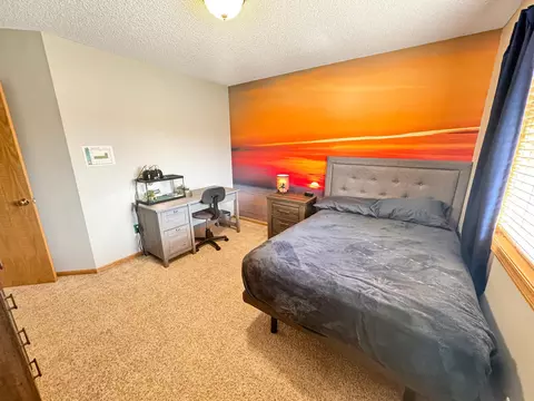 703 Kalea Ct, Hanover, MN 55341 photo 23