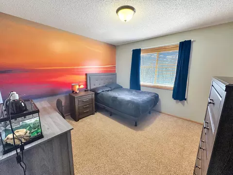 703 Kalea Ct, Hanover, MN 55341 photo 22