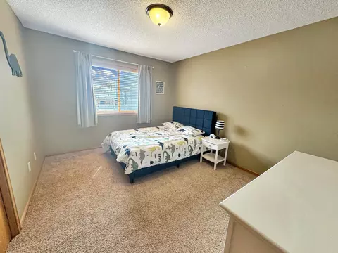 703 Kalea Ct, Hanover, MN 55341 photo 17