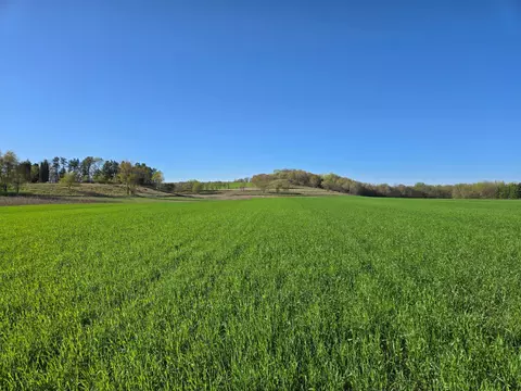 16 74 Acres County Rd N, Hay River Twp, WI 54772