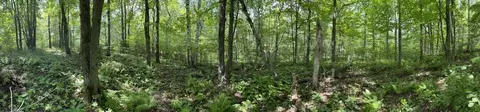 3 N Nnn N Blackman Ave, Duluth, MN 55811 photo 3