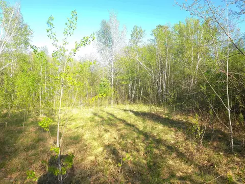 000 Starch Rd, Bruno, MN 55712 photo 2