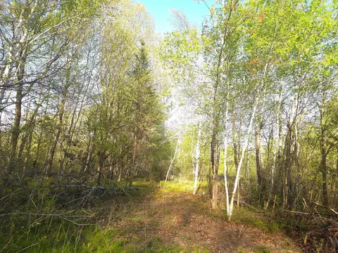 000 Starch Rd, Bruno, MN 55712