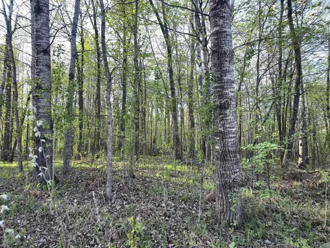 000 Starch Rd, Bruno, MN 55712 photo 3