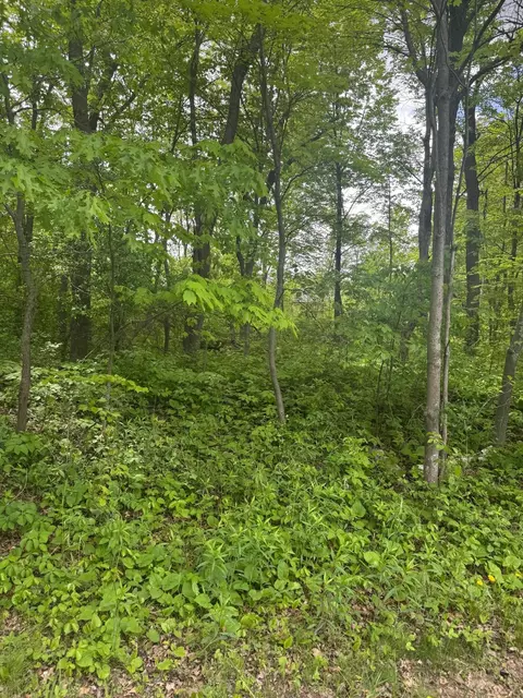 Nnnn 241st Avenue Ne, Linwood Twp, MN 55079