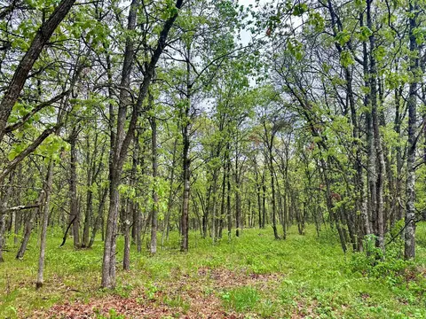 tbd Lot 4 204th St, Park Rapids, MN 56470