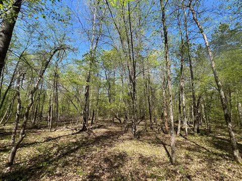 lot13 Hide Away Trl, Webb Lake, WI 54830