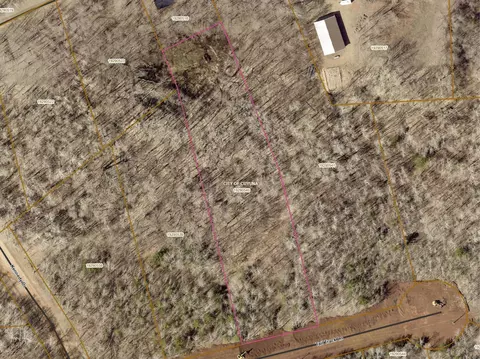 tbd 194 Acres Tail Track Ln, Deerwood, MN 56444