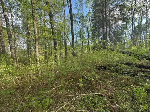 2045 County 47 NE, Blind Lake Twp, MN 56655