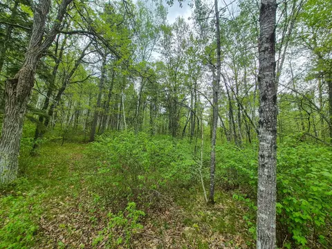 Other - 19198 Eiderdown Dr, Akeley, MN 56433 photo 10 of 11