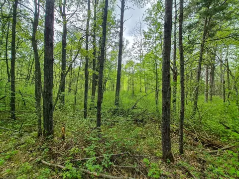 Other - 19198 Eiderdown Dr, Akeley, MN 56433 photo 9 of 11