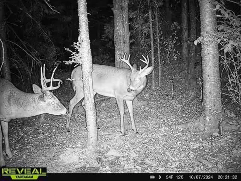 25 Maki Rd, Esko, MN 55733 photo 49