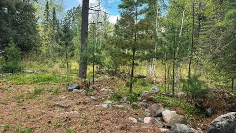 25 Maki Rd, Esko, MN 55733 photo 50