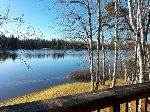 View/Area - 6565 White Pine Ln, Gilbert, MN 55741 photo 3 of 6