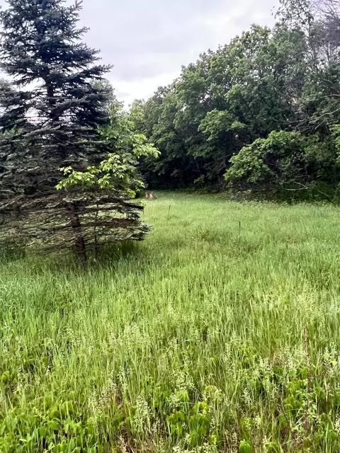 tbd 174th St NW, Orrock Twp, MN 55309