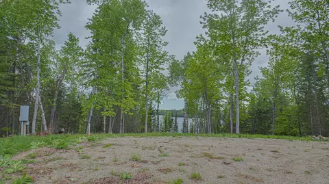 53550 Little Bear Trl, Bigfork, MN 56628