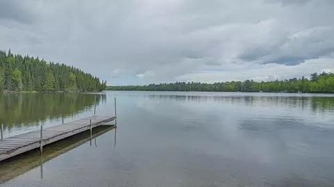 53549 Little Bear Trl, Bigfork, MN 56657