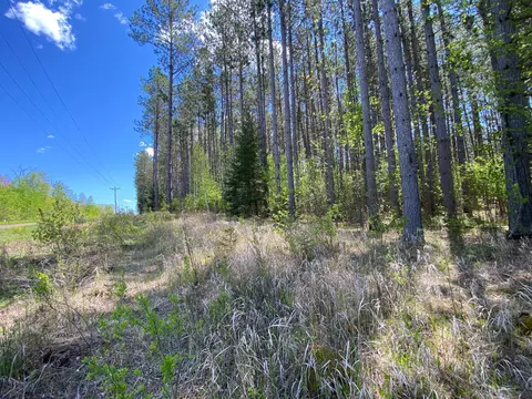 Nnnn Minkkinen Rd, Kettle River, MN 55757