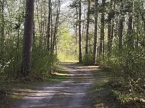 1343 Indian Point Trl NW, Ponto Lake Twp, MN 56474