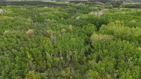 35665 Cr-43, Willow River, MN 55795 photo 24