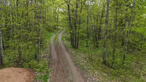 35665 Cr-43, Willow River, MN 55795 photo 3