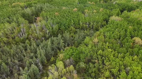 35665 Cr-43, Willow River, MN 55795 photo 13
