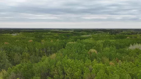 35665 Cr-43, Willow River, MN 55795 photo 11