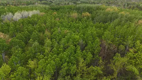 35665 Cr-43, Willow River, MN 55795 photo 25