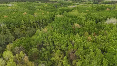 35665 Cr-43, Willow River, MN 55795 photo 12
