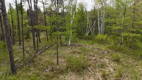 35665 Cr-43, Willow River, MN 55795 photo 31