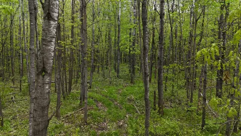 35665 Cr-43, Willow River, MN 55795 photo 10