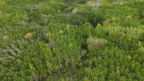 35665 Cr-43, Willow River, MN 55795 photo 23