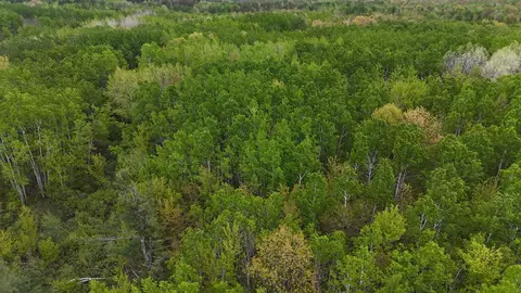 35665 Cr-43, Willow River, MN 55795 photo 26