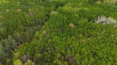 35665 Cr-43, Willow River, MN 55795 photo 14