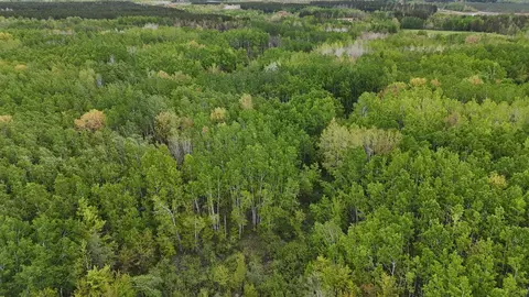 35665 Cr-43, Willow River, MN 55795 photo 4