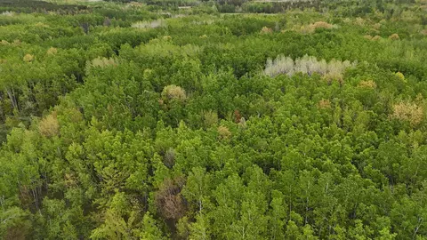 35665 Cr-43, Willow River, MN 55795 photo 16