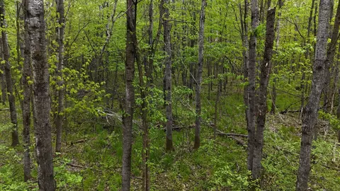 35665 Cr-43, Willow River, MN 55795 photo 30