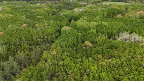 35665 Cr-43, Willow River, MN 55795 photo 15