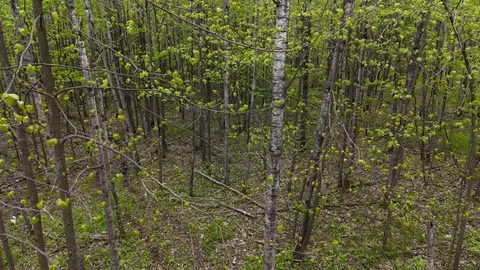 35665 Cr-43, Willow River, MN 55795 photo 28