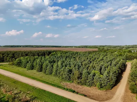 293 Nn 435th Ave, Ottertail, MN 56571 photo 4