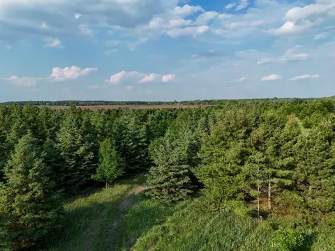 293 Nn 435th Ave, Ottertail, MN 56571 photo 5