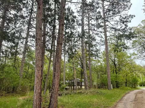 tbd Lavinia Rd NE, Northern Twp, MN 56601