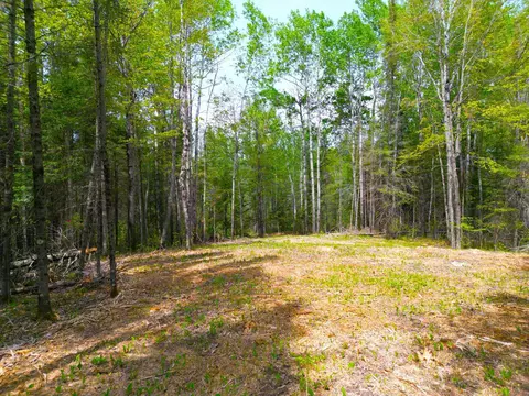 72 Nn E Central Lakes Rd #LOT G, Eveleth, MN 55734