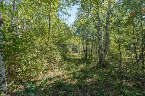 tbd Tract D Little Pine Rd, Brainerd, MN 56401